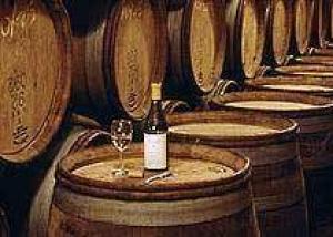 Экспорт итальянских вин: снижение