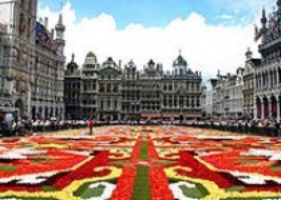 В Брюсселе создадут ковер из миллиона живых цветов