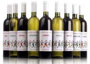 Молдавские производители увеличили экспортные поставки винодельческой продукции на 76%