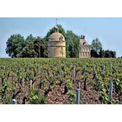 Chateau Latour купят французы