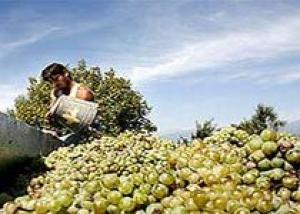 Армянское вино не претендует на мировые рынки