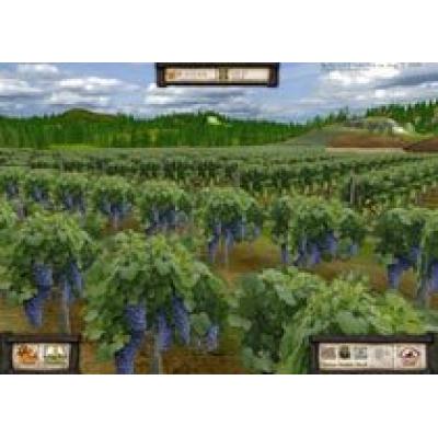 Wine Tycoon – симулятор винодела