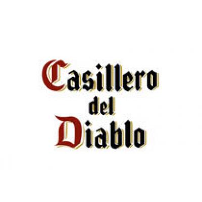 Casillero del Diablo подарит электронные книги