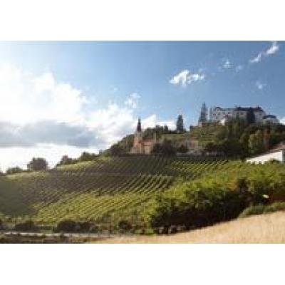 Австрия: Урожай винограда 2010