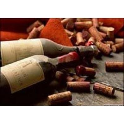 Французы запускают вино в пластике