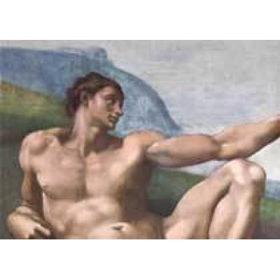 Искусствоведы оспорили подлинность рисунков Микеланджело Буонаротти
