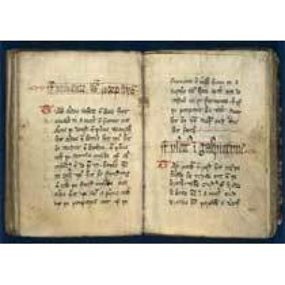 Королевские рецепты XIV века выложат в Сеть