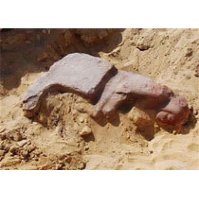 Кварцитовая статуя обнаружена в Египте