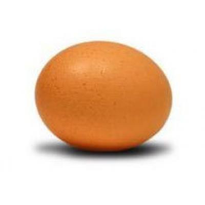 Самое крупное на Земле птичье яйцо выставлено на торги