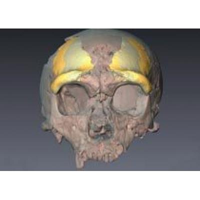 В Северном море найден череп неандертальца