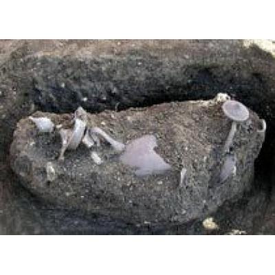 Греческие археологи обнаружили два уникальных серебряных сосуда