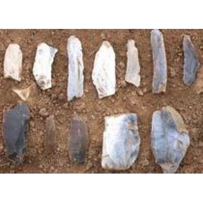 Древние орудия мезолита откопали в Англии