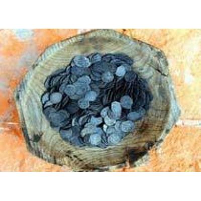 В выгребной яме нашли 2 тыс. серебряных монет