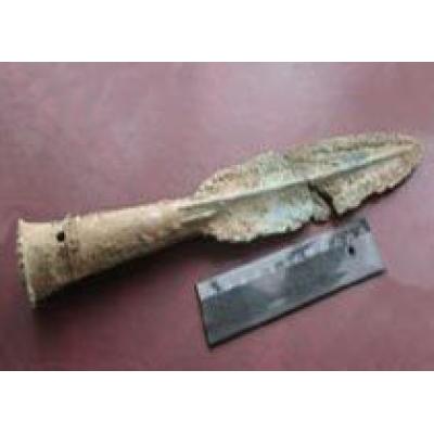 В Алтайском крае найден уникальный наконечник копья