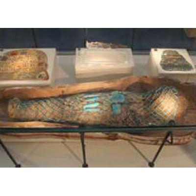 В английском музее нашли египетский саркофаг