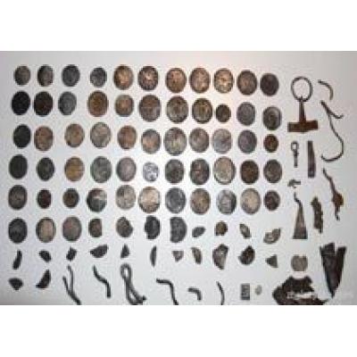 В Дании найдены 300 серебряных монет эпохи викингов