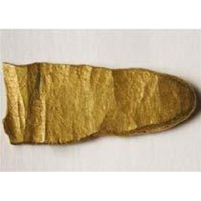 Археолог-любитель нашел золотой слиток викингов