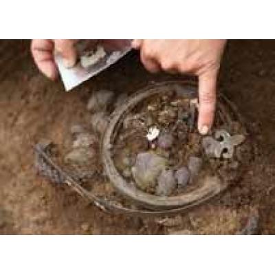 В Рязанской области найдены древние серебряные украшения