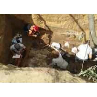 Могилу знатной сарматской `амазонки` V-IV в до н.э. нашли в Оренбуржье