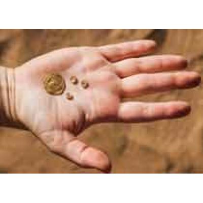В Израиле обнаружены 400 монет возрастом 1,5 тыс. лет