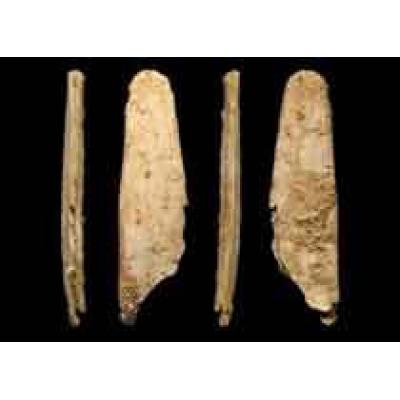 Неандертальцы изготавливали костяные орудия раньше человека