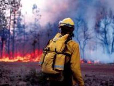 У лесных пожарных Архангельской области будет новая спецодежда