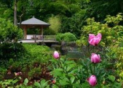 В Краснодаре в парке 30-летия Победы открылся японский сад