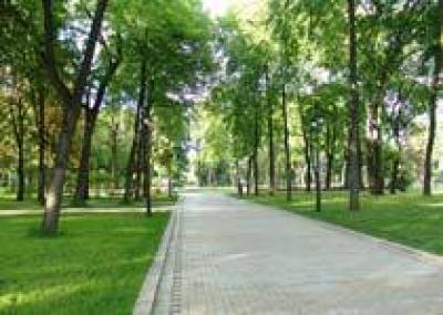 135 млн рублей направлено из бюджета Самары на озеленение города