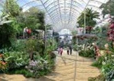Выставка в Абу Даби показывает растущий интерес к садам