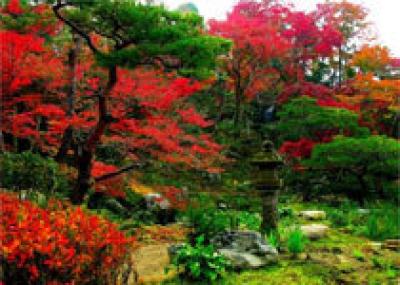 Японский образец - сады мира