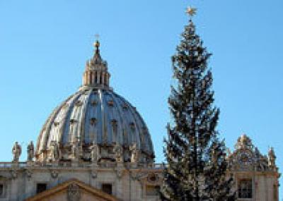 Рождественскую ель из Австрии установили в Ватикане