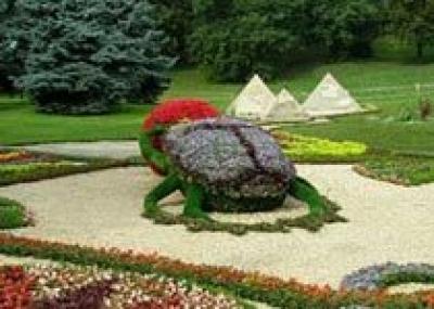 Цветочные скульптуры украсят Краснодар с приходом тепла
