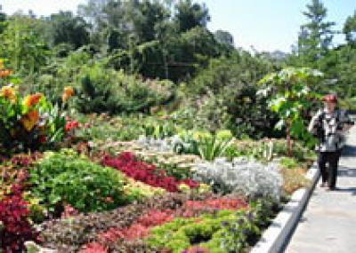 Ботанический сад: новые проекты