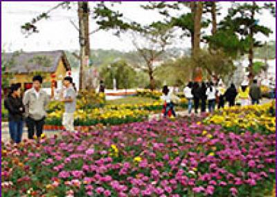 Фестиваль цветов в Далате перенесен на следующий год
