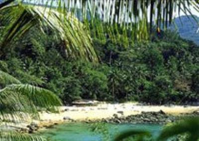 Тропические острова сейчас можно купить за полцены