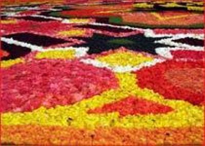 В Израиле соткали гигантский ковер из цветов