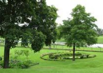 Совершить путешествие в сады прошлых веков приглашает Стрельнинский парк