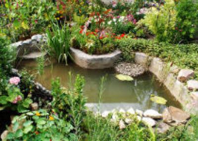 Уход за водными сооружениями в саду
