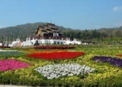 В Таиланде пройдет международная выставка флористики