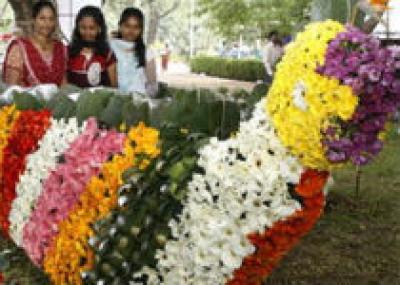 В Индии открылся цветочный фестиваль