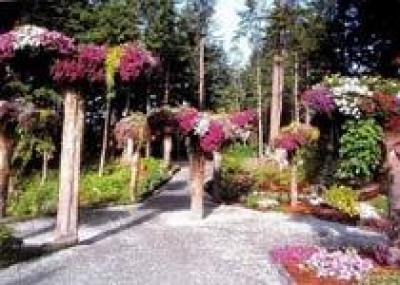 В ботаническом саду на Аляске цветочные клумбы растут на деревьях