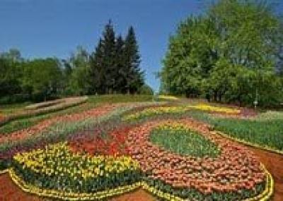 В Киеве появятся водные сады и ротонды