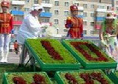 На цветочный календарь в центре Каменска-Уральского потратят 150 тысяч рублей