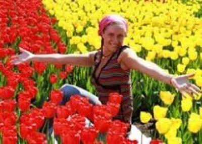 В Волгограде стартует конкурс на лучшую цветочную клумбу