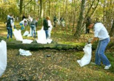 В Троицке прошла молодежная акция «Студенческий лес»