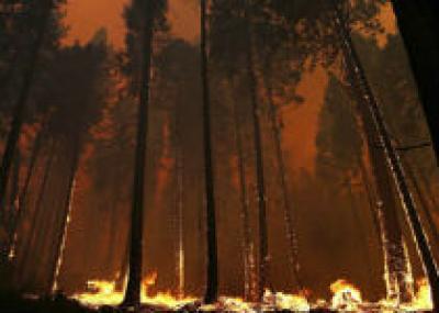 Пожарные США борются со стихией в парке Йосемити