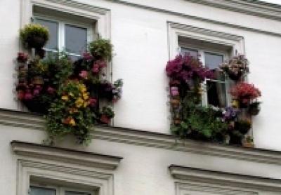Как правильно выращивать травы на балконе и террасе?