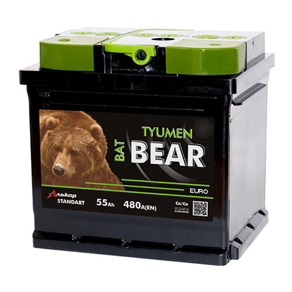 Автомобильный аккумулятор Tyumen Batbear 55 Ач прямая полярность L2