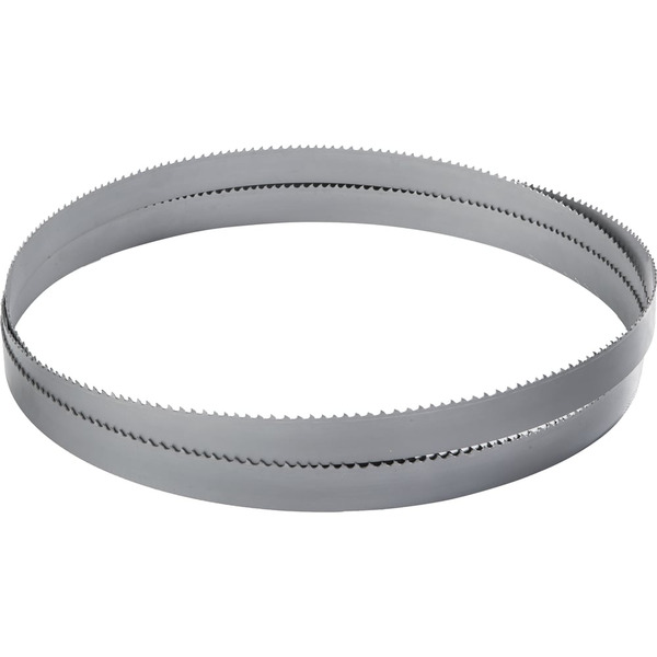 Ленточное полотно FMT FM421306510141350