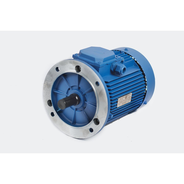 Электродвигатель МЭЗ АИР132S4 3081
